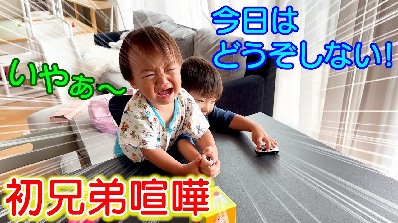 初めての兄弟喧嘩！いつもどうぞしてくれる兄が断固拒否で取り合いになり号泣！！