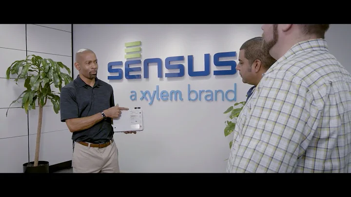 Sonix IQ™ Ultrasonic Gas Meter