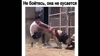 Не бойтесь, она не кусается || 2раза ХА-ХА