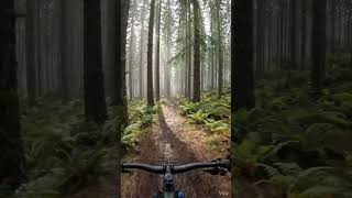 Cycling in horrible Forest. it feels like someone behind me..#horror  #aestheticshorts #shorts#viral