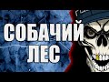 Собачий Лес | Коллекция Мистики и Ужасов