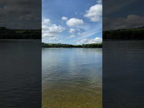 Llys-Y-Fran Reservoir, 12th August 2023.  #llysyfran #reservoir #countrypark #pembrokeshire #wales