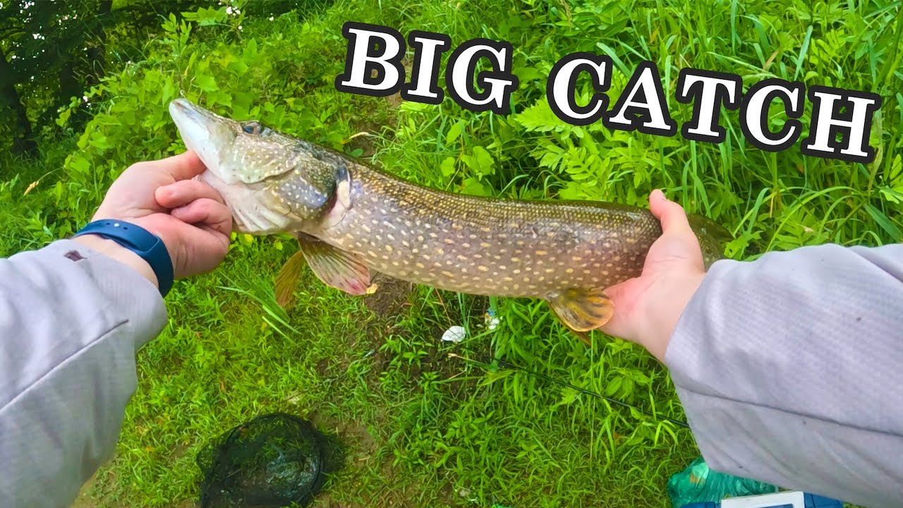 5 Pound Pike Catch!! Pike Fishing Compilation 1 YouTube