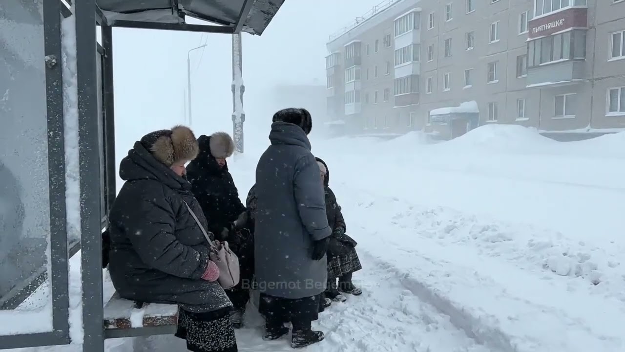 Эстетика русской метели | Russian Winter Vibes 🇷🇺❄️ Русская Зима | Russian Winter 