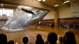 Amazing 3D Projection In School Gym