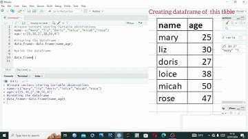 How To Create a Dataframe in R | With Example