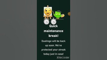 #Duolingo Quick Maintenance - #breaktime