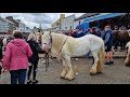 Cahermee Horse Fair, Buttevant, North Cork. 2023