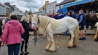 Cahermee Horse Fair, Buttevant, North Cork. 2023