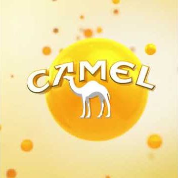 NEW CAMEL OPTION YELLOW BANANA 2021