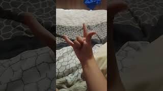 вот почему это было не два пальца большой указательный палец