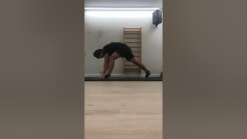 Worlds Greatest Stretch (Lunge to T spine reach w/ hamstring stretch)