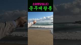 [풍수명당 #298] 문무왕릉 보는것만으로도 좋은기운을 받습니다!!!