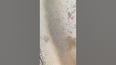 WAIT FOR IT Crystal formation #shorts