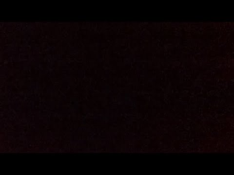 Belly Sounds 2023 2 20 Sick Belly