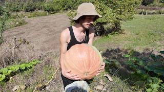 #48 Sweet Potato Harvest, Plaster & Mounting Solar Panels | Homesteading in Portugal