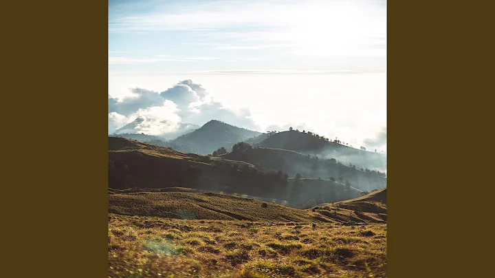 Z8k0iC dreamy Snyder in Saint Kitts and Nevis Kerr...