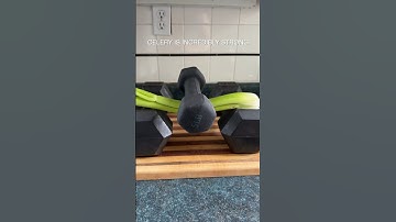 Celery Strength Test                               #celery #science #jet