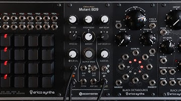 Erica Synths x Hexinverter Mutant BD9 sound demo