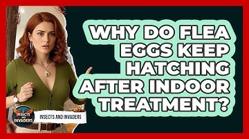 Why Do Flea Eggs Keep Hatching After Indoor Treatment? - Insects and Invaders