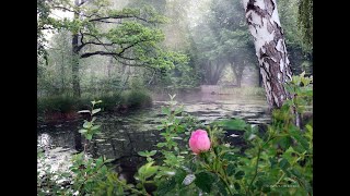 Johann Pachelbel   Serenade