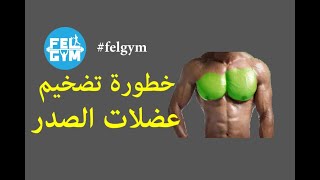 خطورة الإهتمام الزائد بتضخيم عضلات الصدر ( البنش )