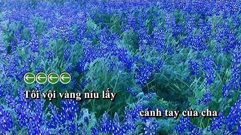 [Karaoke_Tone Nữ]  MUỐN KHÓC THẬT TO | Trúc Nhân