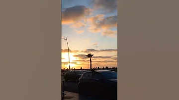 الذين معه اشداء المصحف اكسبلور قصص لااله الا انت سبحانك اني كنت من ظالمين 