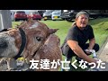 ラブ君が亡くなってリンちゃんの身体に異変が起きた