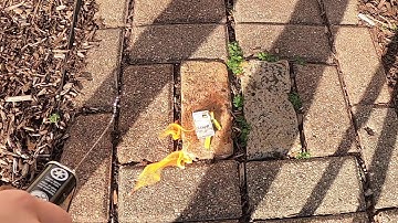 Traumatized Tech Destruction: Eclipse Fit Clip MP3 player