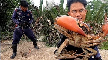 Con Khủng Nhìn Nó Lạ Lạ/Đat Nguyễn Cần Giờ 