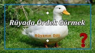 RÜYADA ÖRDEK GÖRMEK (rüya tabiri)