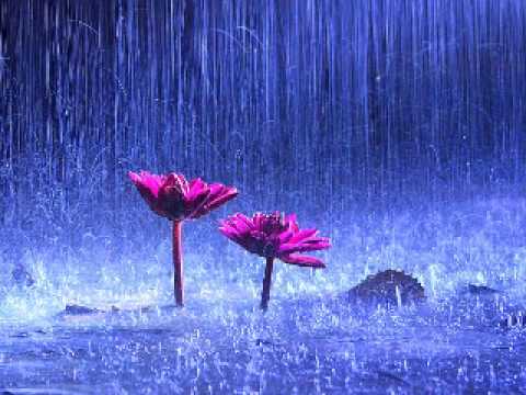 always for you -Moonchild