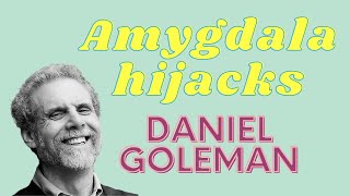 Daniel Goleman's explanation of 