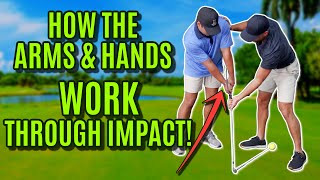 GOLF: How The Arms and Hands Work Through Impact | Ball Striking Basics