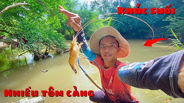 Chuyến đi câu tôm càng & cá suối đầu mùa/câu dính tôm càng to,cá suối đủ loại
