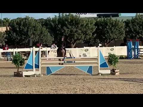 Norton de Kalvarie CSI1* Valencia