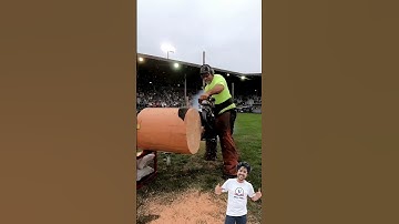 wood cutter machine safety protocol. #experiments #science #scienceexperiment #physics #shorts