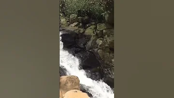 HOW NATURE SPEAK TO US #naturelovers #riverflowing #stoneworks #river #summervibes #shortvideo