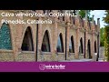 Tour  and tasting at Codorníu winery, the birthplace of Spanish Cava,  Penedès, Spain