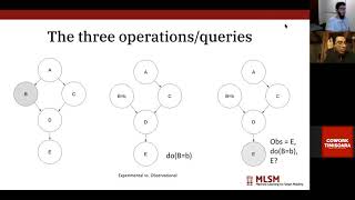 Estimating causal effects using NADEs