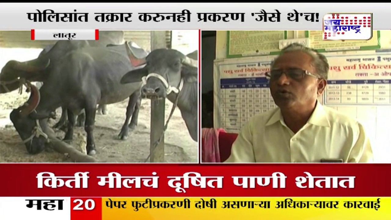Mill's contaminated water effect farms and Domestic animals in Latur