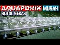 Sistem aquaponik sederhana-budidaya ikan gurame