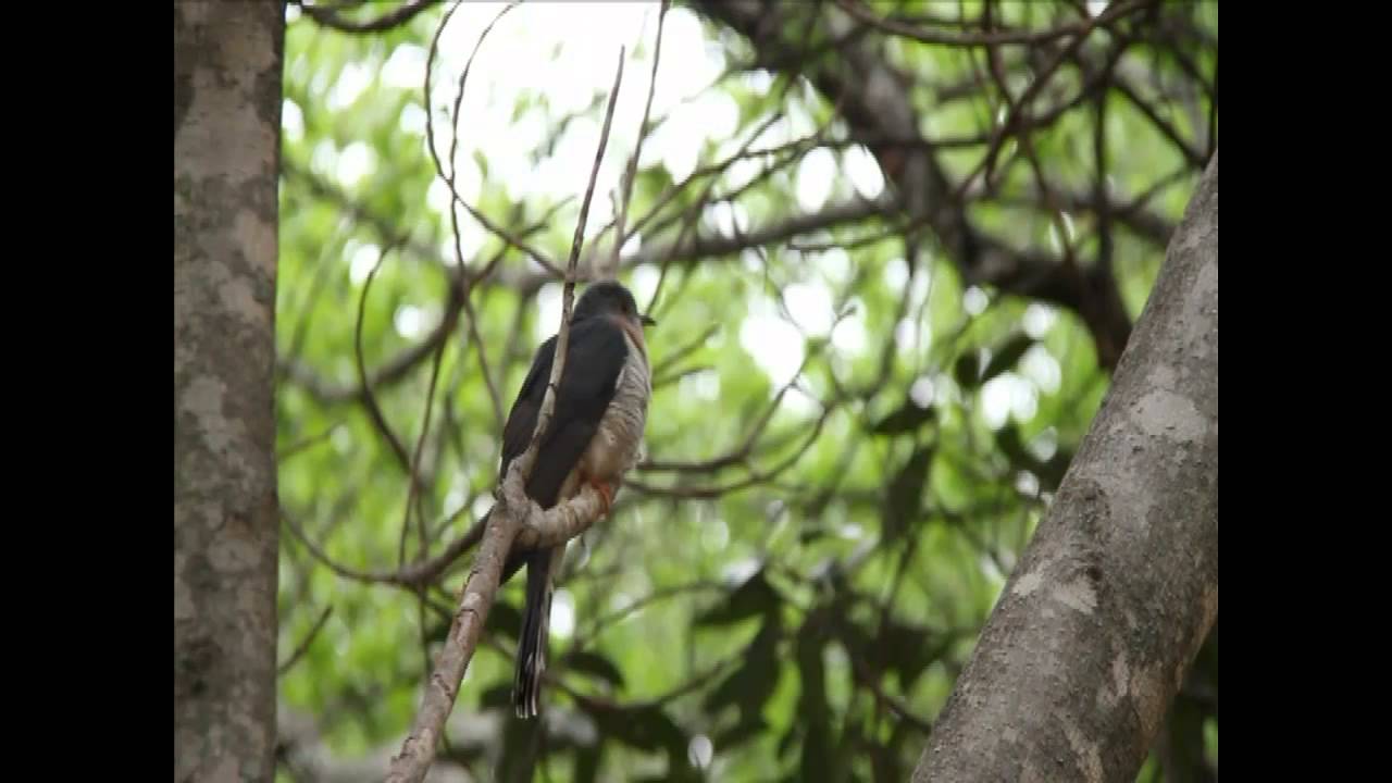 Miss Earth Zimbabwe 2012 - Dimitra Markou