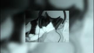 lana del rey - art deco speed up