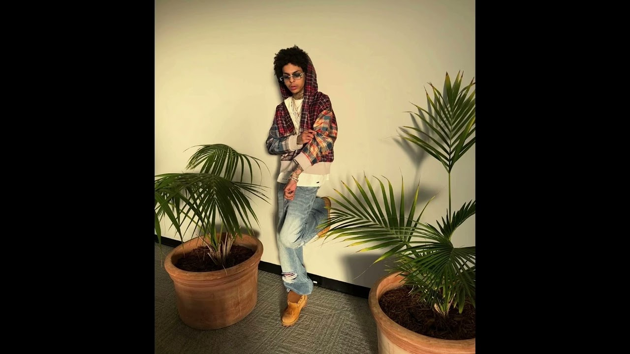 [FREE] lil tony + jay montana sample type beat “ won’t hurt you “