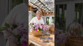 How to Prune A Lilac Bush