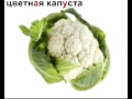 vegetables names, russian