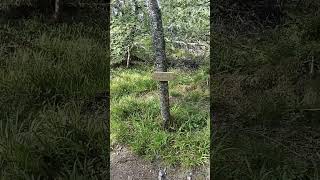 Музыкальный часик с моих песен;)) во время прогулки