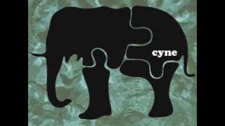 Cyne-E Motion